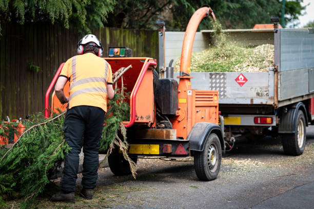 Lawn Drainage Solutions in Towanda, PA